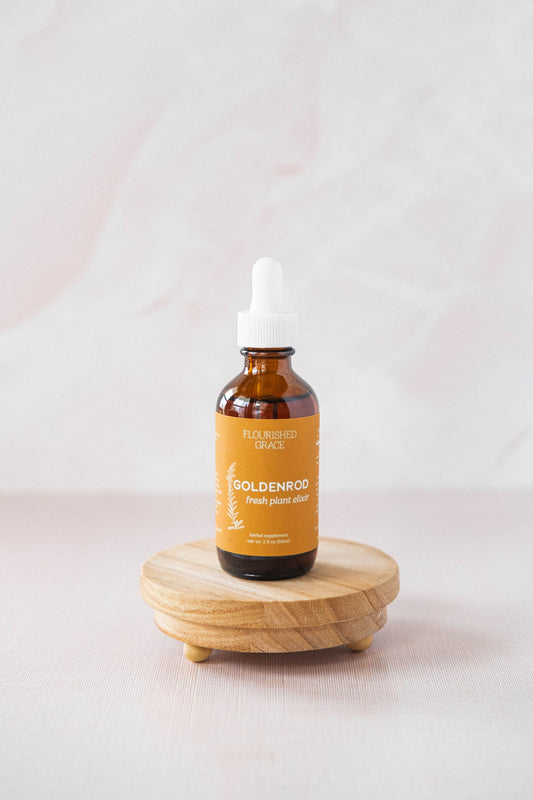 Goldenrod Fresh Plant Elixir